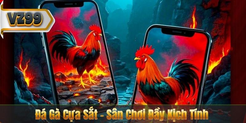 Đá Gà Cựa Sắt – Sân Chơi Đầy Kịch Tính