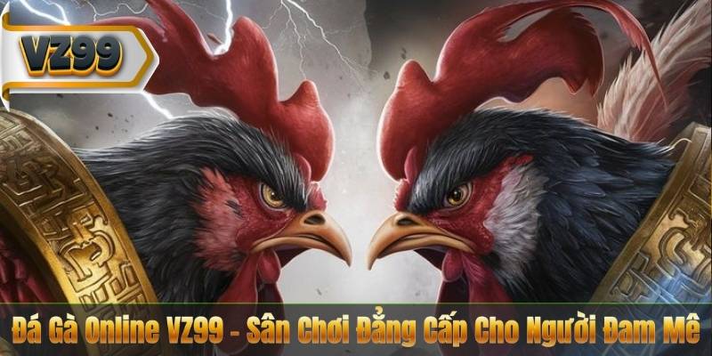 Đá Gà Online VZ99 – Sân Chơi Đẳng Cấp Cho Người Đam Mê