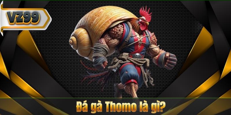 Đá gà Thomo là gì?